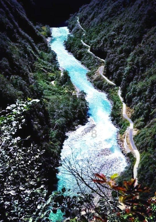 零基础学厨师去哪里好？厨师学校还是酒店？